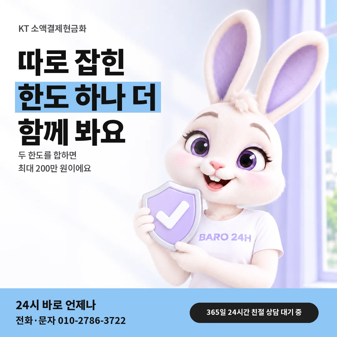 방패를 든 BARO 24H 티셔츠를 입은 3D 토끼 캐릭터 옆에 「KT 정보이용료 한도 함께 보기」 제목을 얹은 안내 카드